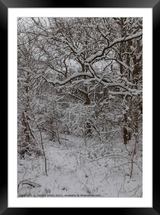 snow in winter in the forest in holland Framed Mounted Print by Chris Willemsen