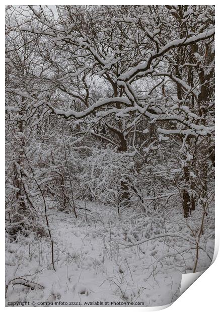 snow in winter in the forest in holland Print by Chris Willemsen