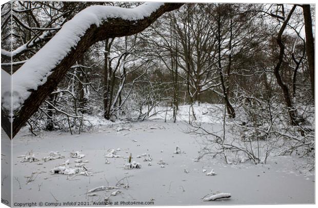 frozen pond in winter in the forest in holland Canvas Print by Chris Willemsen