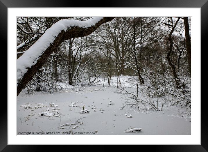 frozen pond in winter in the forest in holland Framed Mounted Print by Chris Willemsen