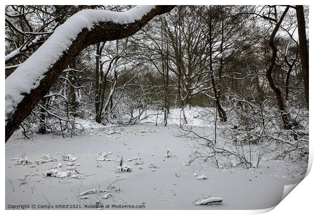 frozen pond in winter in the forest in holland Print by Chris Willemsen