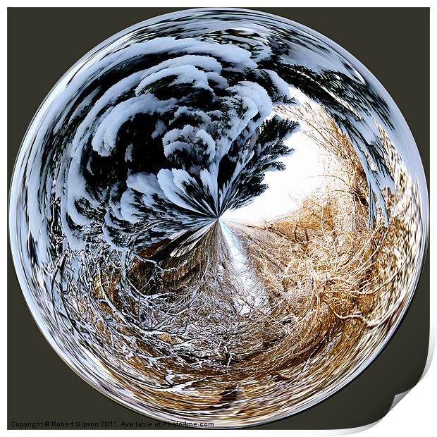 Spherical Paperweight Winters Entanglement Print by Robert Gipson
