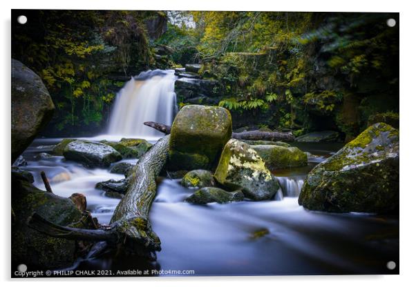 Hidden woodland waterfall at Thomason Foss 224  Acrylic by PHILIP CHALK