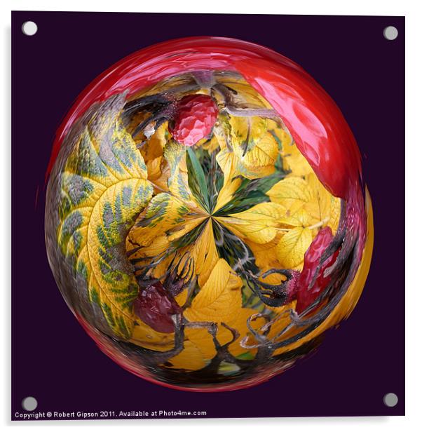 Spherical Paperweight Dog Rose Acrylic by Robert Gipson
