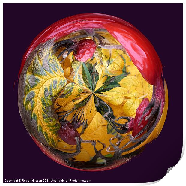 Spherical Paperweight Dog Rose Print by Robert Gipson