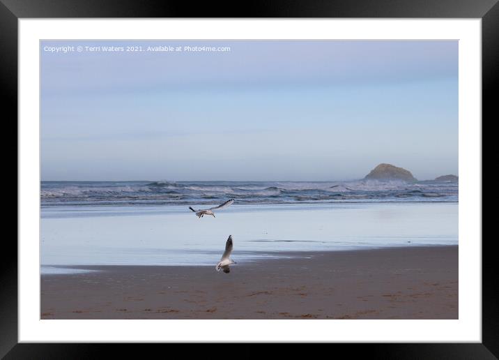 Seagulls at Perranporth Beach Framed Mounted Print by Terri Waters