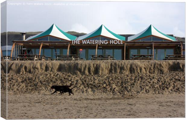 The Watering Hole Perranporth Canvas Print by Terri Waters