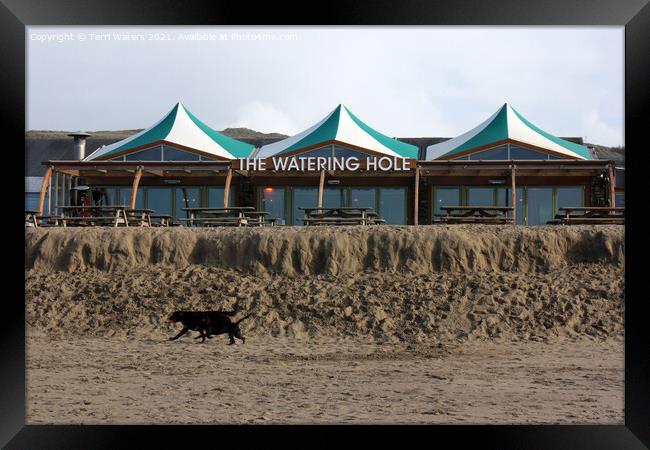 The Watering Hole Perranporth Framed Print by Terri Waters