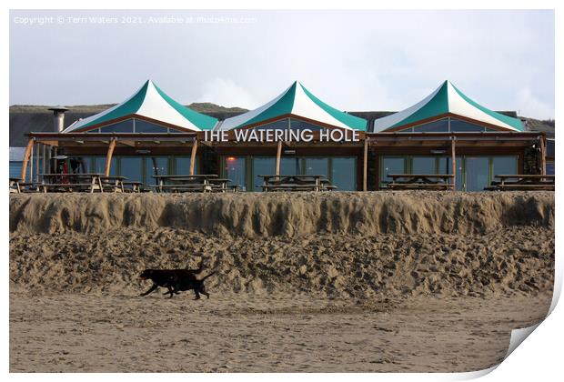 The Watering Hole Perranporth Print by Terri Waters
