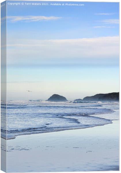 Perranporth Tide Canvas Print by Terri Waters