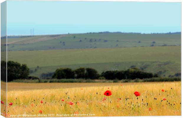 Poppies by the Sea Canvas Print by Hannah Morley