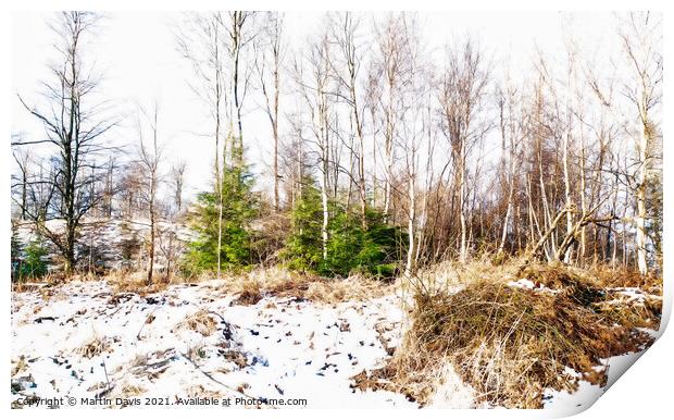Woods in Winter Print by Martin Davis