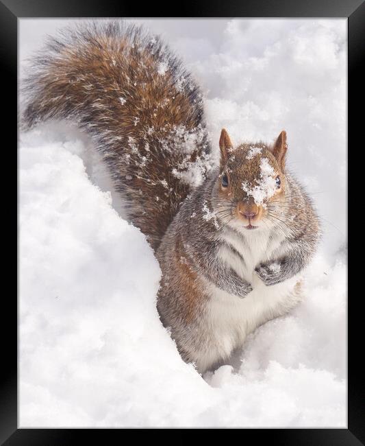 A Friend At The Door Framed Print by Jim Hughes