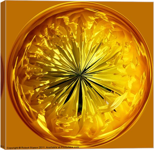 Spherical Paperweight Dandy Flower Canvas Print by Robert Gipson
