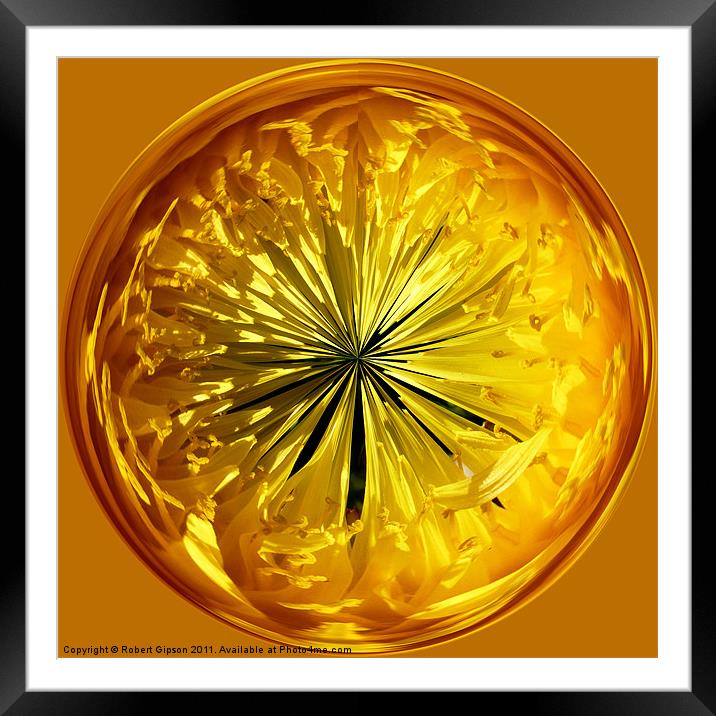 Spherical Paperweight Dandy Flower Framed Mounted Print by Robert Gipson