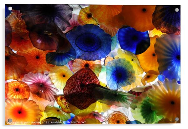 Chihuly glass ceiling Acrylic by Beth Rodney
