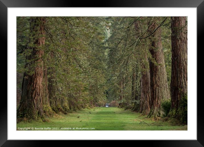 Sequoia Boulevard Framed Mounted Print by Ronnie Reffin