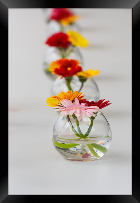 Aligned flowers on table Framed Print by youri Mahieu