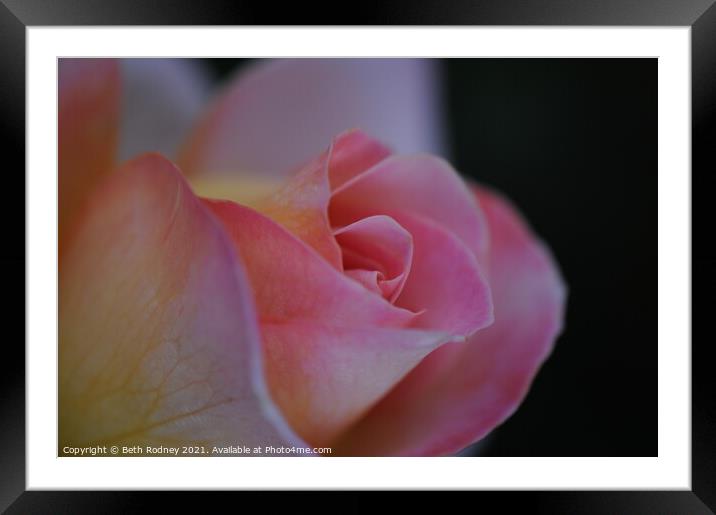 Pink rose petals close-up Framed Mounted Print by Beth Rodney