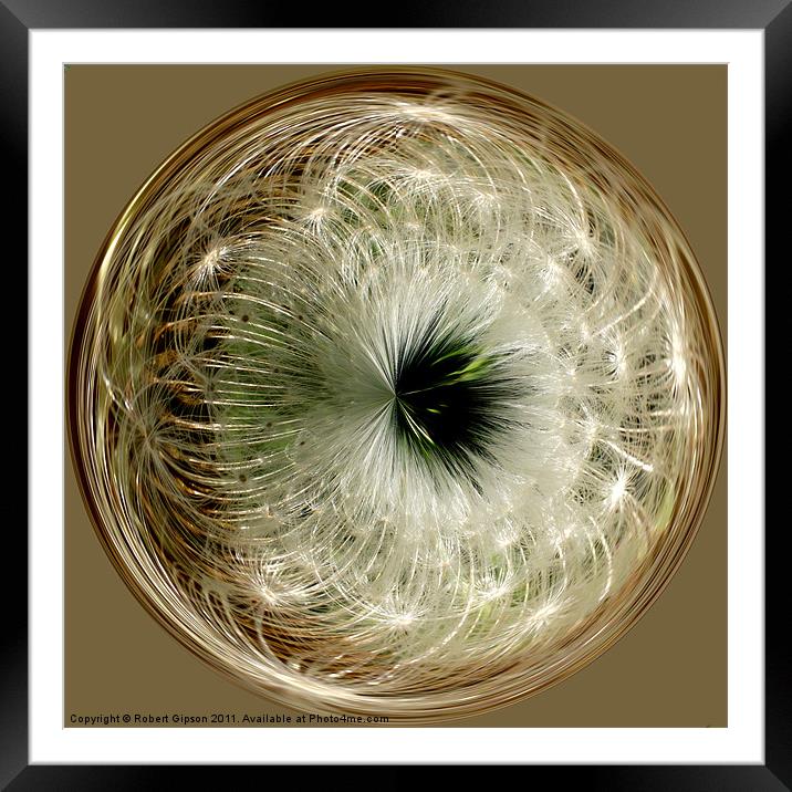 Spherical Paperweight Dandy seeds Framed Mounted Print by Robert Gipson