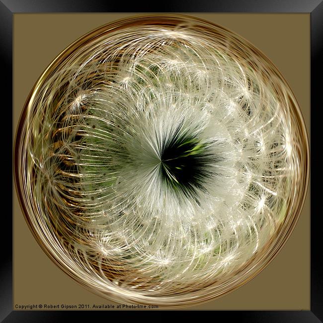 Spherical Paperweight Dandy seeds Framed Print by Robert Gipson
