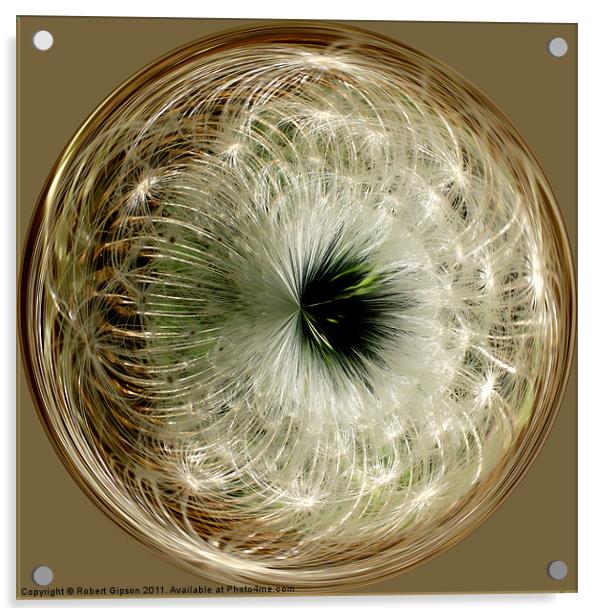 Spherical Paperweight Dandy seeds Acrylic by Robert Gipson