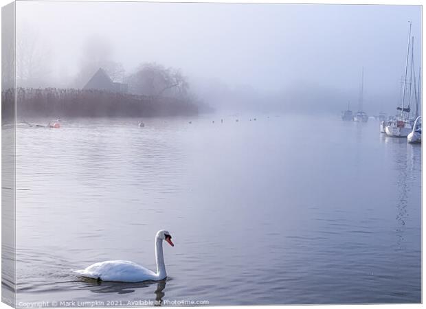 Morning Mist  Canvas Print by Mark Lumpkin