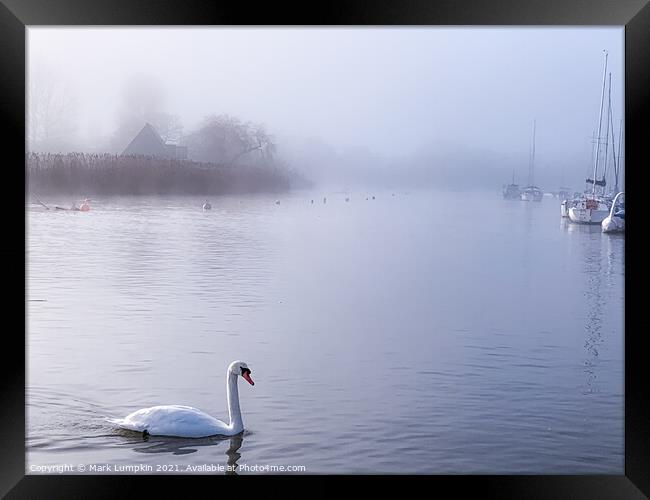 Morning Mist  Framed Print by Mark Lumpkin