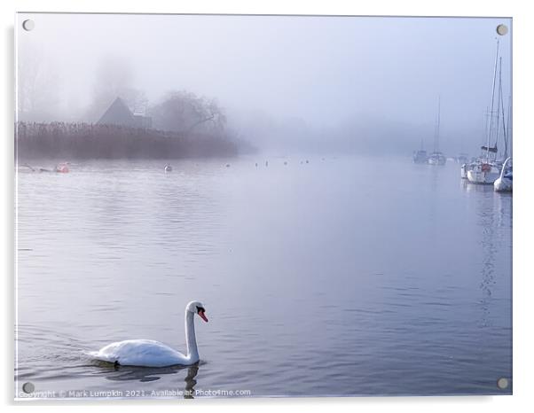 Morning Mist  Acrylic by Mark Lumpkin