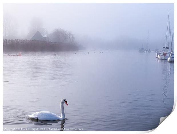 Morning Mist  Print by Mark Lumpkin