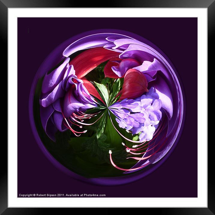 Spherical Paperweight  Fuchsia Framed Mounted Print by Robert Gipson
