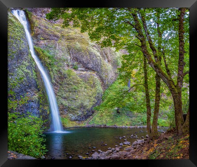 Horsetail Falls Framed Print by Belinda Greb