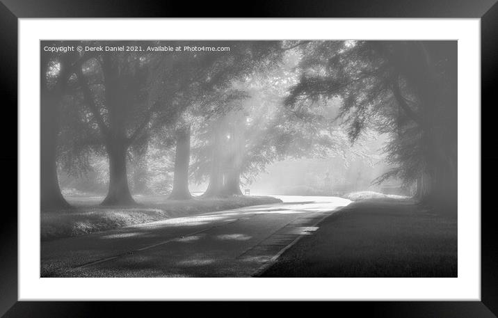 Misty Morning At Beech Avenue Framed Mounted Print by Derek Daniel
