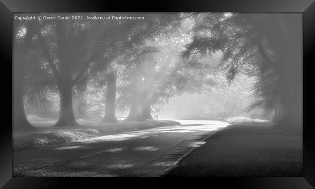 Misty Morning At Beech Avenue Framed Print by Derek Daniel