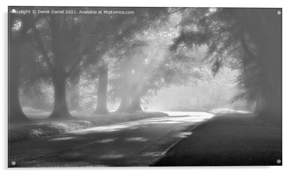 Misty Morning At Beech Avenue Acrylic by Derek Daniel