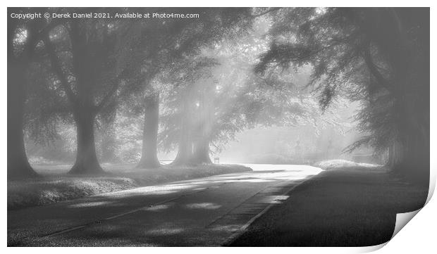 Misty Morning At Beech Avenue Print by Derek Daniel