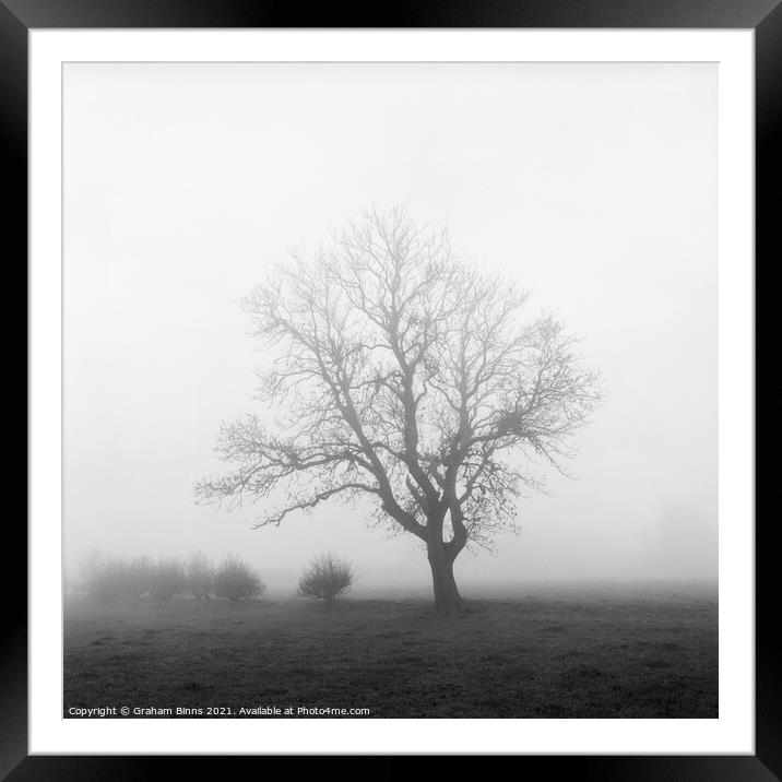 Towering – Wellands Lane Tree In Fog Framed Mounted Print by Graham Binns