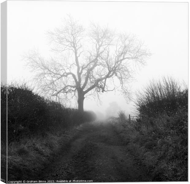 Wellands Lane Foggy Morning Canvas Print by Graham Binns