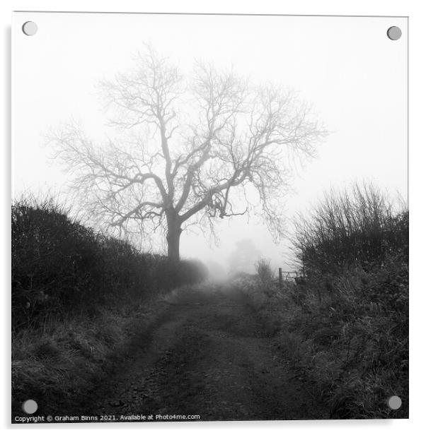 Wellands Lane Foggy Morning Acrylic by Graham Binns