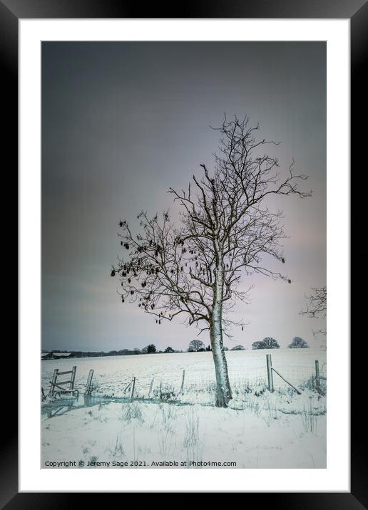 That lone winter tree Framed Mounted Print by Jeremy Sage