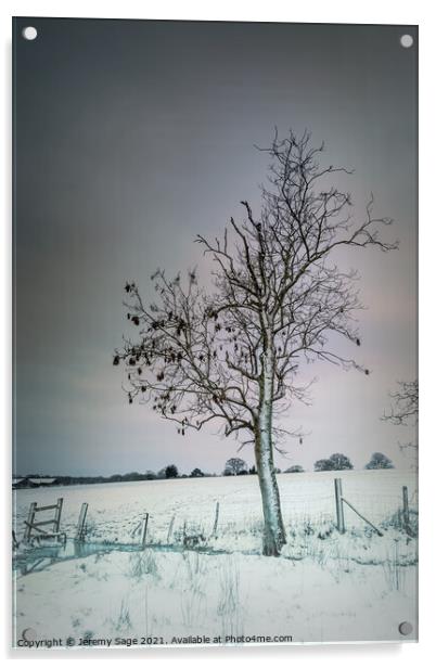 That lone winter tree Acrylic by Jeremy Sage