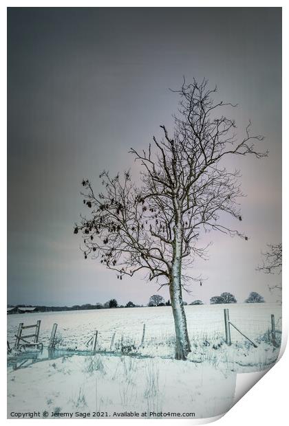 That lone winter tree Print by Jeremy Sage