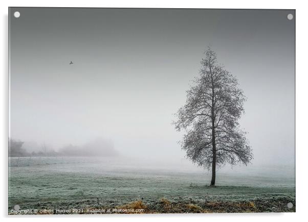 Enchanted Winter Morning Acrylic by Gilbert Hurree