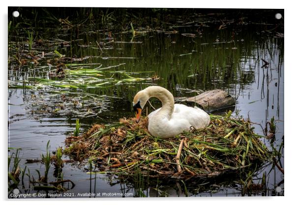 Serene Swan on Nest Acrylic by Don Nealon