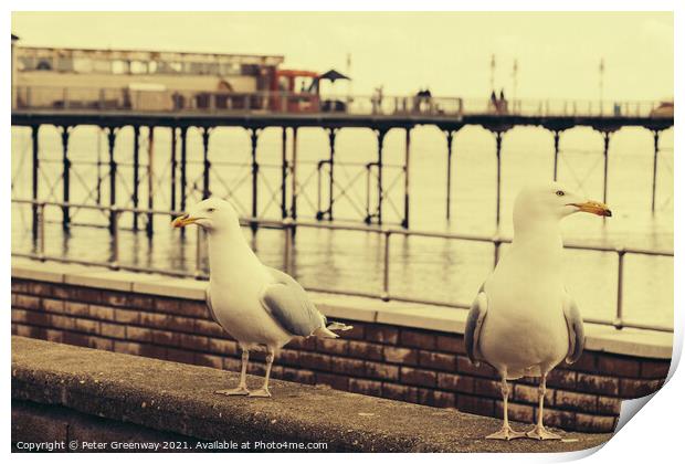 Juxtaposition Seagulls On The Lookout For Food Print by Peter Greenway