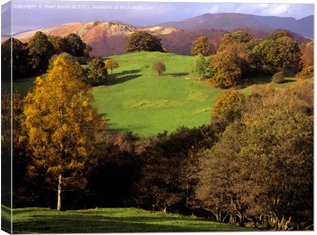Lake District Countryside in Autumn Canvas Print by Pearl Bucknall