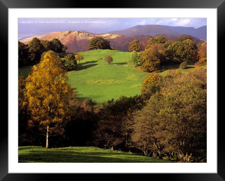Lake District Countryside in Autumn Framed Mounted Print by Pearl Bucknall
