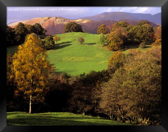 Lake District Countryside in Autumn Framed Print by Pearl Bucknall