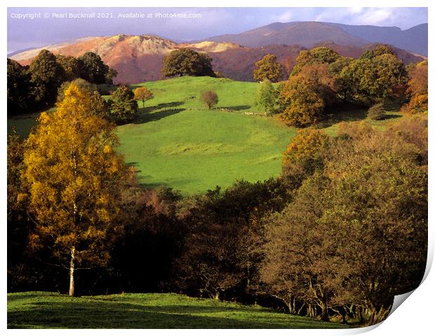 Lake District Countryside in Autumn Print by Pearl Bucknall