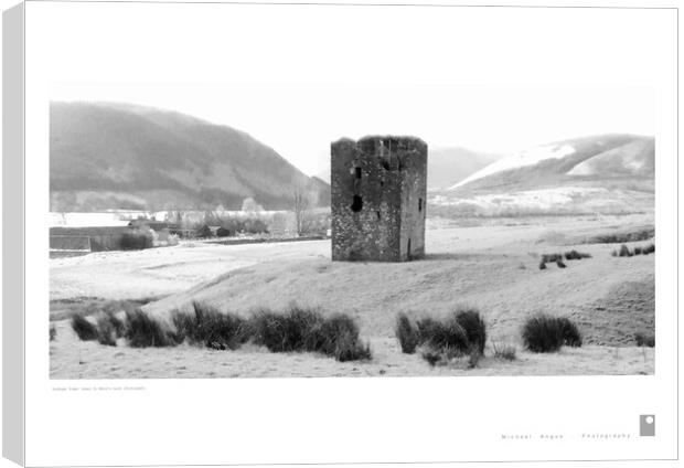 Dryhope Tower (St Marys Loch [Scotland]) Canvas Print by Michael Angus